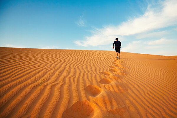 Lonely in desert