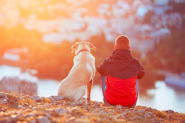 В ожидании солнца
