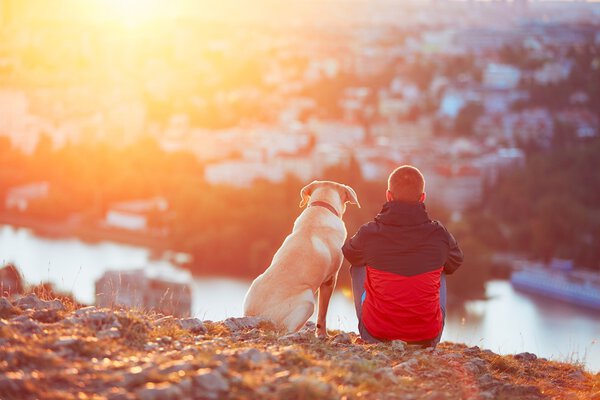 В ожидании солнца

