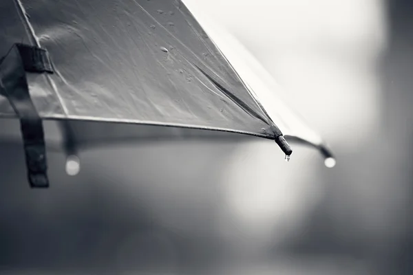 Guarda-chuva durante a chuva — Fotografia de Stock