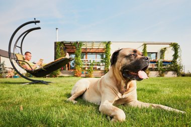 Bahçede köpek adam