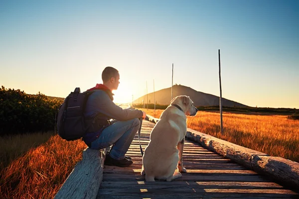 Muž se psem na výlet v horách — Stock fotografie