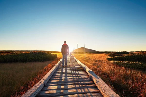 Homem com cão na viagem nas montanhas — Fotografia de Stock