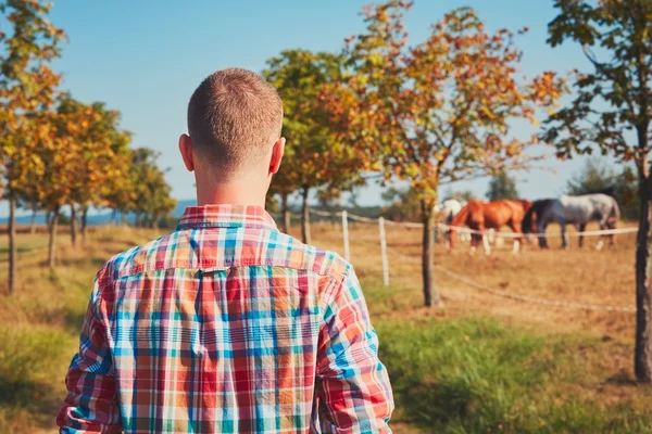 Zomertijd in de natuur — Stockfoto