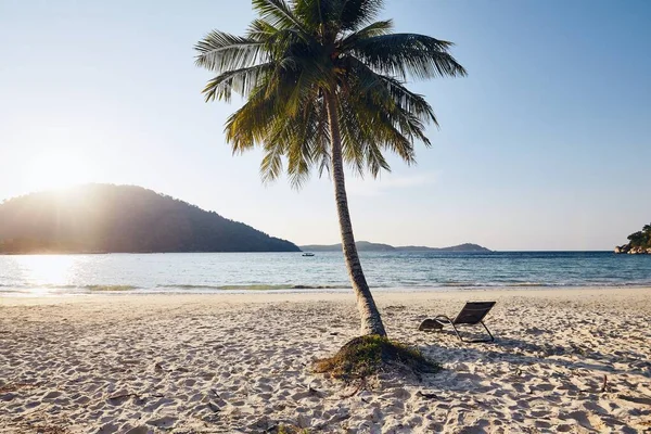 Spiaggia Tropicale Tramonto Bellissimo Sedia Vuota Sotto Palma Contro Paesaggio — Foto Stock