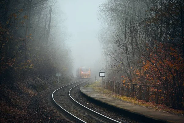 Järnväg Höstväder Passagerartåg Lämnar Järnvägsstationen Dimmig Skog — Stockfoto