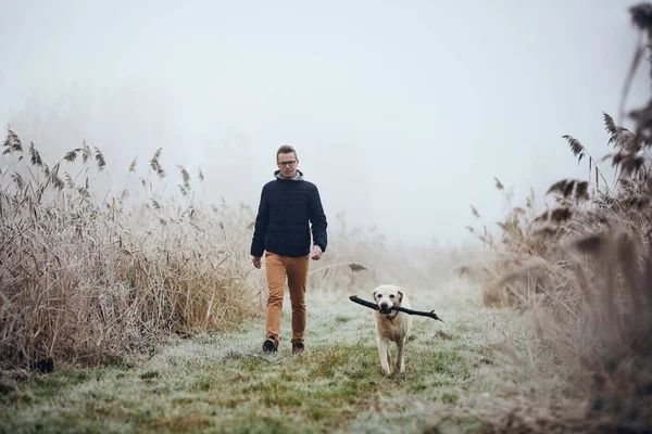 若い男が自然に犬と一緒に歩いている 霜の日の間に葦の真ん中の牧草地でラブラドール取得とペットの所有者 — ストック写真