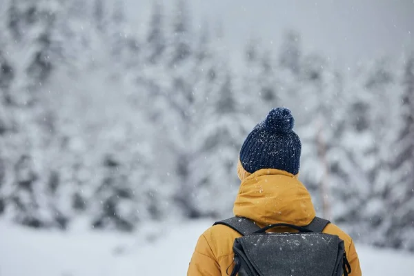 冬の自然界の人間のリアビュー 白い雪に覆われた木々に対して暖かい服で観光客 — ストック写真