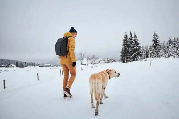 冬天带着狗的年轻人的后视镜 宠物主人带着他的拉布拉多猎犬在美丽的大自然中漫步于古老的村庄 Jizera Mountains 捷克共和国 — 图库照片