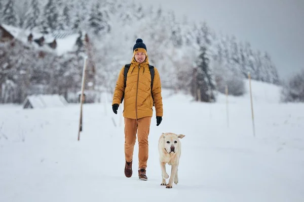冬天带着狗的年轻人的前景色 在下雪的时候 宠物主人带着他的拉布拉多猎犬与美丽的大自然格格不入 Jizera Mountains 捷克共和国 — 图库照片