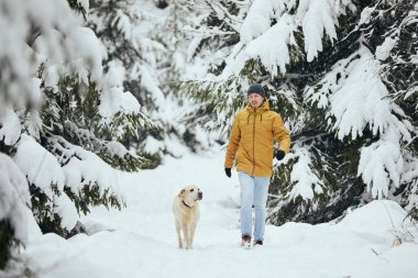 Kış mevsiminde köpekli genç bir adamın ön görüntüsü. Hayvan sahibi labrador av köpeğiyle karla kaplı ormanda yürüyor.. 