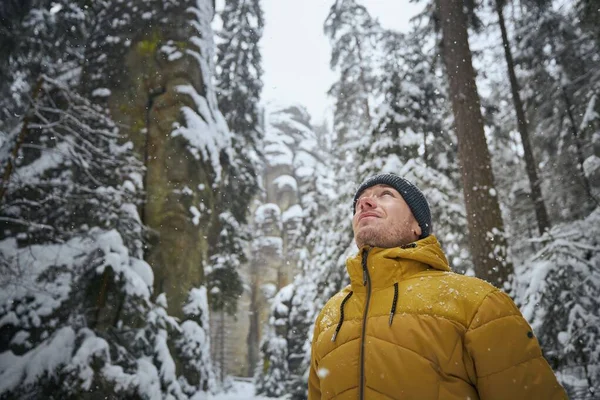 Retrato Jovem Natureza Inverno Turista Roupas Quentes Contra Rochas Floresta — Fotografia de Stock