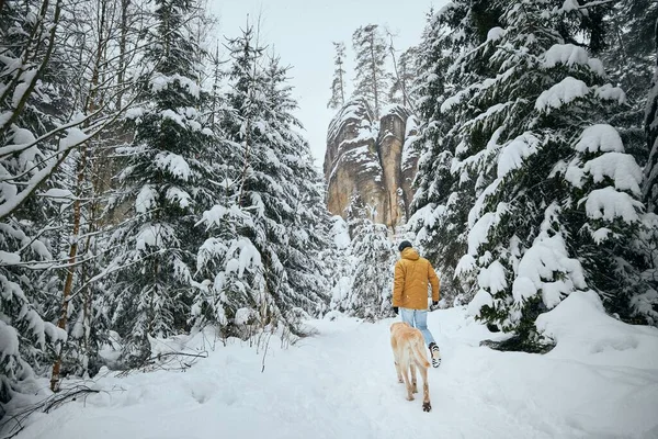 冬の自然の中で犬と若い男のリアビュー 彼のラブラドールの取得者とペットの所有者は雪に覆われた森の中を歩いている — ストック写真