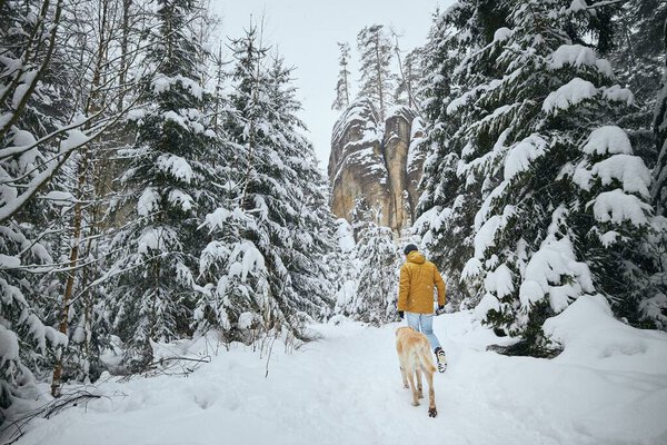 Rear View Young Man Dog Winter Nature Pet Owner His Stock Image