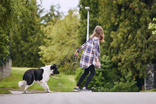Adolescente Menina Puxando Seu Cão Teimoso Coleira Animal Estimação Durante — Fotografia de Stock