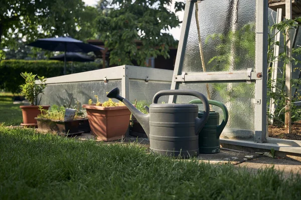 美しい晴れた日の間に自宅の庭で野菜と温室に対して缶を散水 — ストック写真