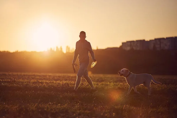 Férfi Kutyával Gyönyörű Naplementében Silhouette Kisállat Tulajdonos Labrador Retriver Séta — Stock Fotó