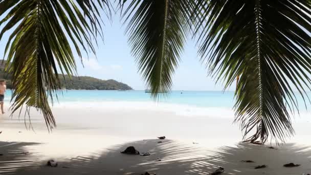 Joven Corriendo Hermosa Playa Arena Blanca Contra Mar Turquesa Seychelles Vídeo De Stock