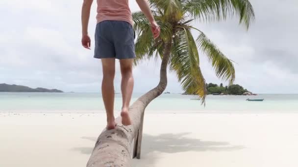 Genç Adam Cennet Gibi Beyaz Kumsalda Palmiye Ağacında Oturuyor Seyşeller Telifsiz Stok Çekim