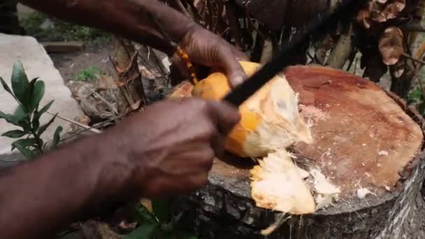 Man Cuttiing Friss Kókusz Által Machete Helyi Piacon Seychelles Videóklipek