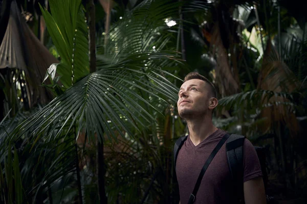 Mladý Muž Batohem Objevující Džungli Cestovatel Tropickém Deštném Pralese Seychelách — Stock fotografie