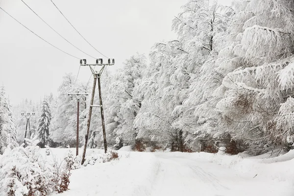 Kış manzara — Stok fotoğraf