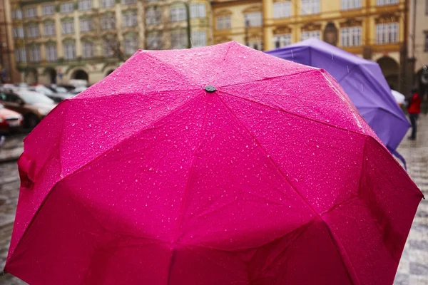 城市里的雨 — 图库照片