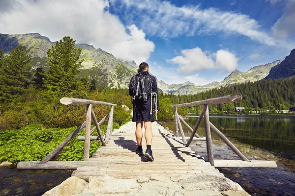 Voyageur dans les montagnes — Photo