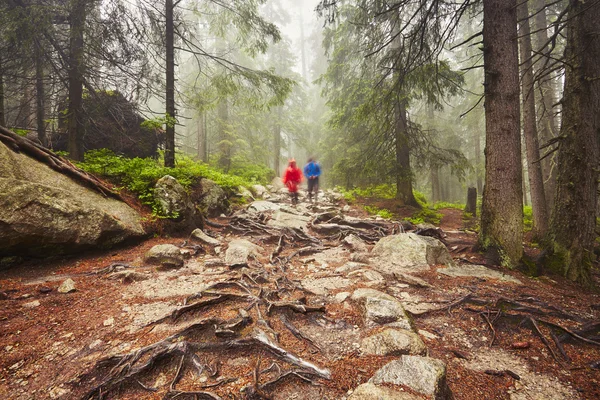 山の旅行者 — ストック写真