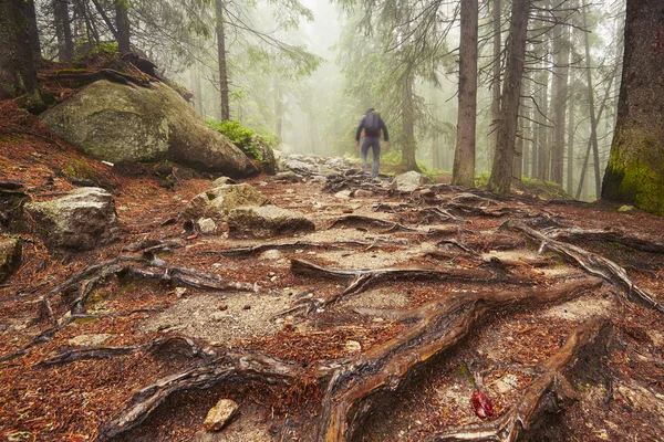 Viajante nas montanhas — Fotografia de Stock