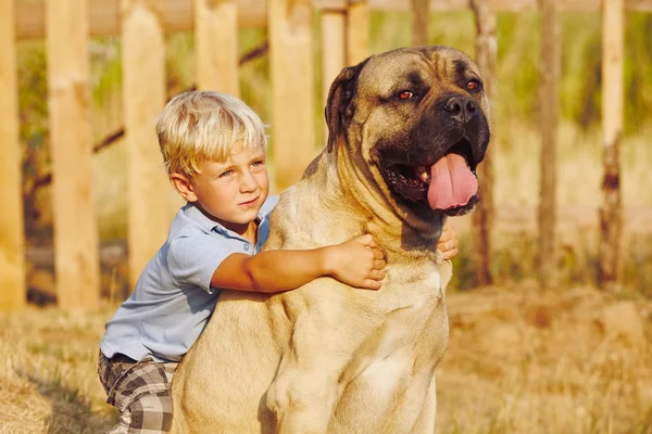 Ragazzino con cane grande — Foto Stock