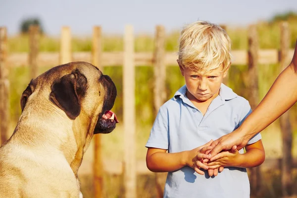 Kleine jongen en grote hond — Stockfoto