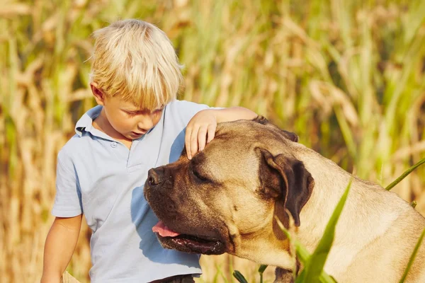 Kleine jongen met grote hond — Stockfoto
