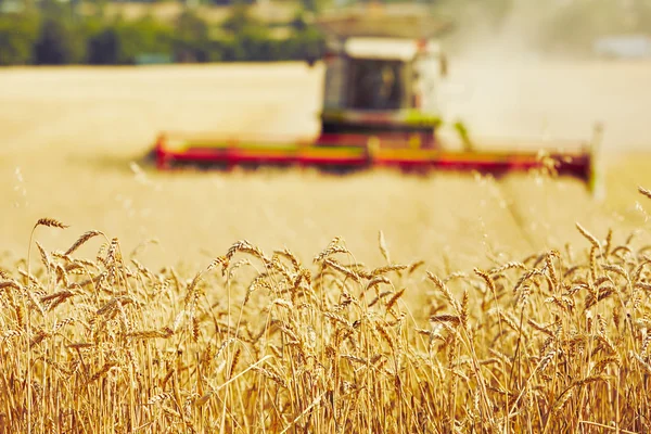 4 049 221 Agriculture Stock Photos Images Download Agriculture Pictures On Depositphotos 4 049 221 Agriculture Stock Photos Images Download Agriculture Pictures On Depositphotos