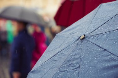 Şemsiye yağmur altında grubu