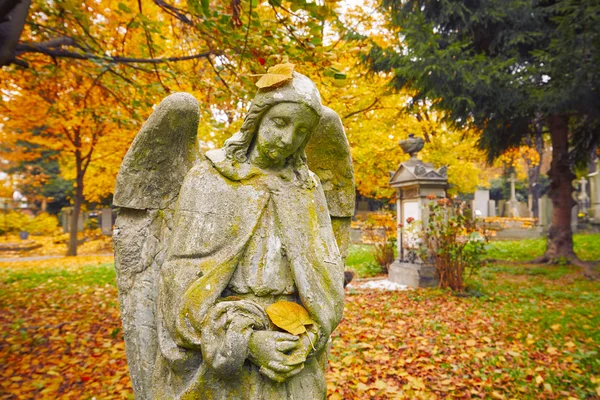 Old cemetery in autumn — Stock Photo, Image