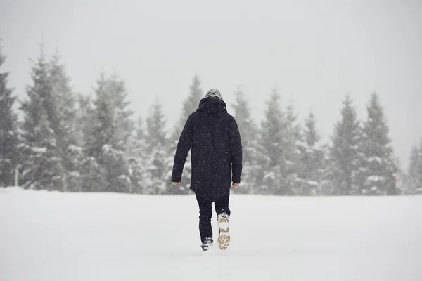 Wintertime in forest — Stock Photo, Image