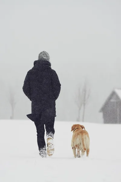 Ο άνθρωπος με το σκυλί το χειμώνα — Φωτογραφία Αρχείου