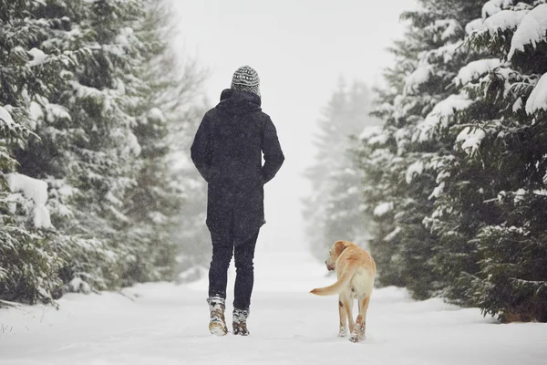 Man with dog in winter time — Stock Photo, Image