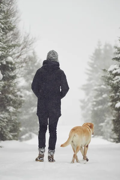 Uomo con cane in inverno — Foto Stock