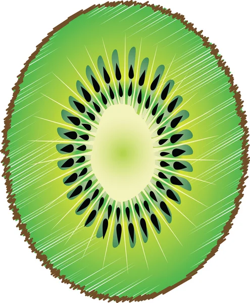 Kiwi rebanada de cerca — Vector de stock