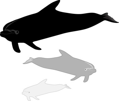 Hareket halinde kelebek