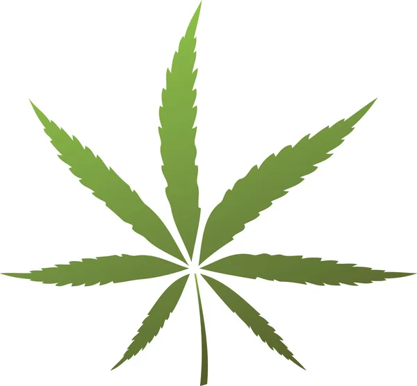 Feuille de cannabis — Image vectorielle
