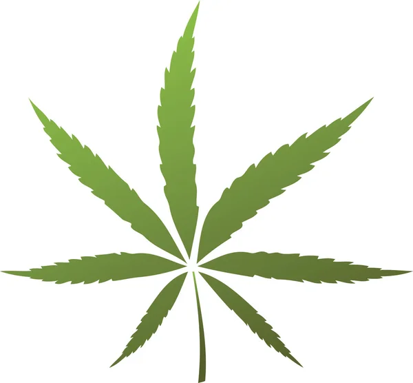 Cannabis leaf — Stock Vector