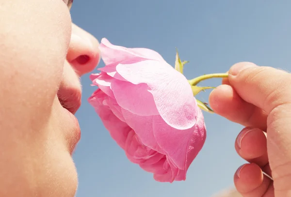Хлопчик пахне рожевою трояндою — стокове фото