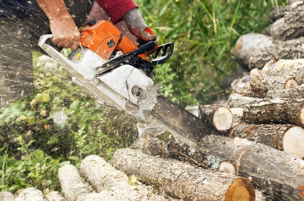 Lumberjack cuts the trunk — Stock Photo, Image