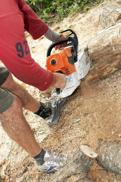 Gasoline powered  chainsaw on pile of cut wood — Stock Photo, Image