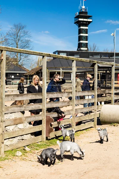 Copenhagen dierentuin — Stockfoto