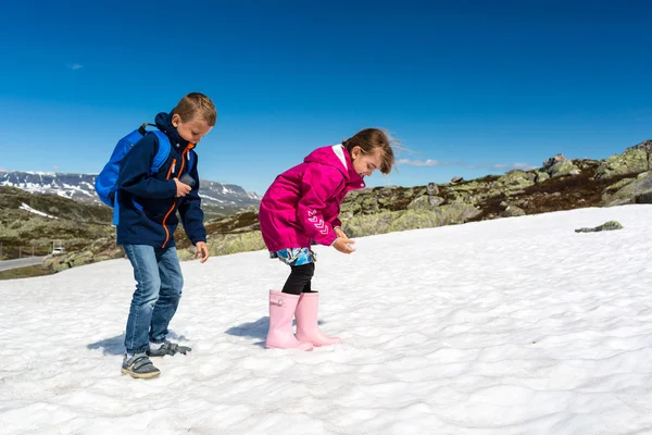 Niños en hardangervidda en Noruega —  Fotos de Stock