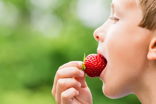 Chłopiec jedzenie świeże czerwone truskawki — Zdjęcie stockowe
